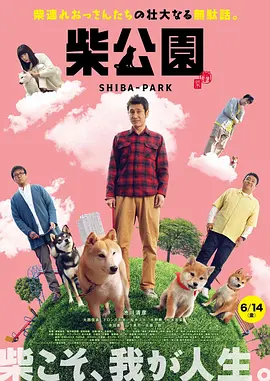 美女又爽又黄免费观看