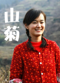 日韩视频在线一区
