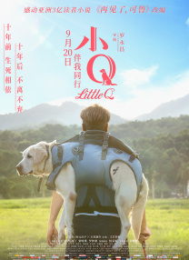 爱丫爱丫影院电视剧在线观看