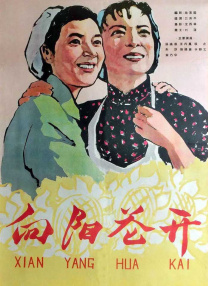 女人跪撅夹乳调教伺候主人