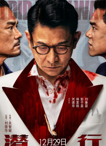 美女在线观看免费高清