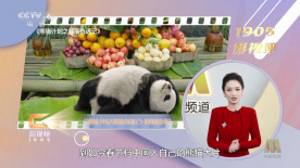 亚洲欧美精品一中文字幕